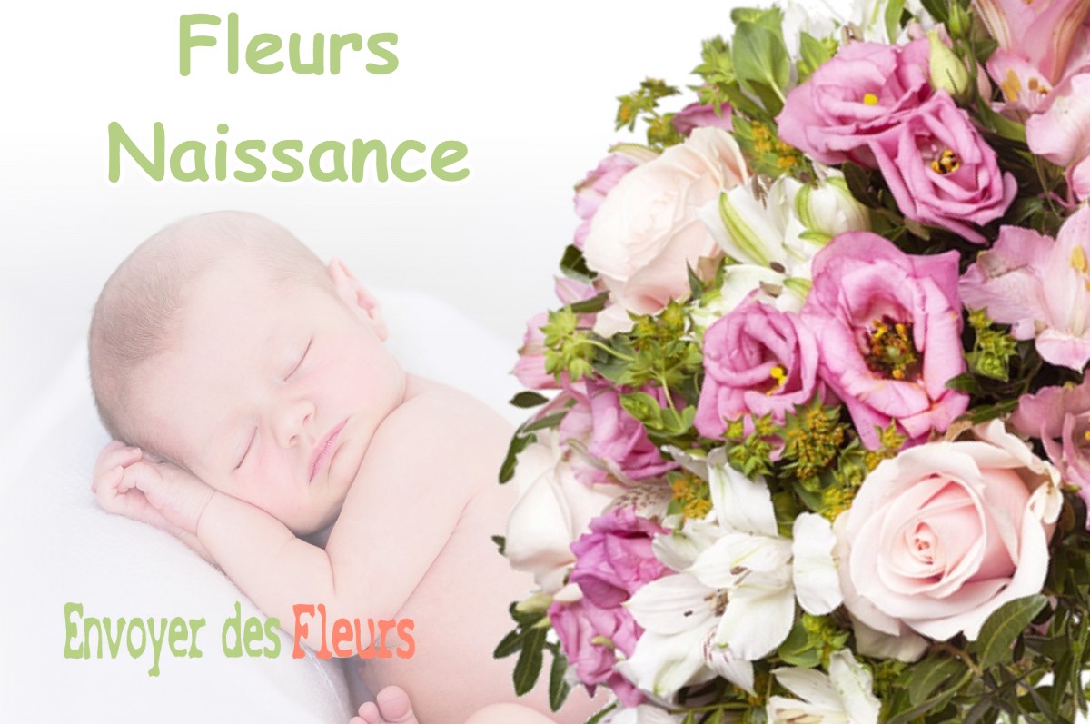 lIVRAISON FLEURS NAISSANCE à CHARCIER